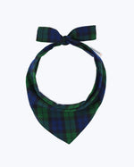 WINTER BANDANA Blue Plaid