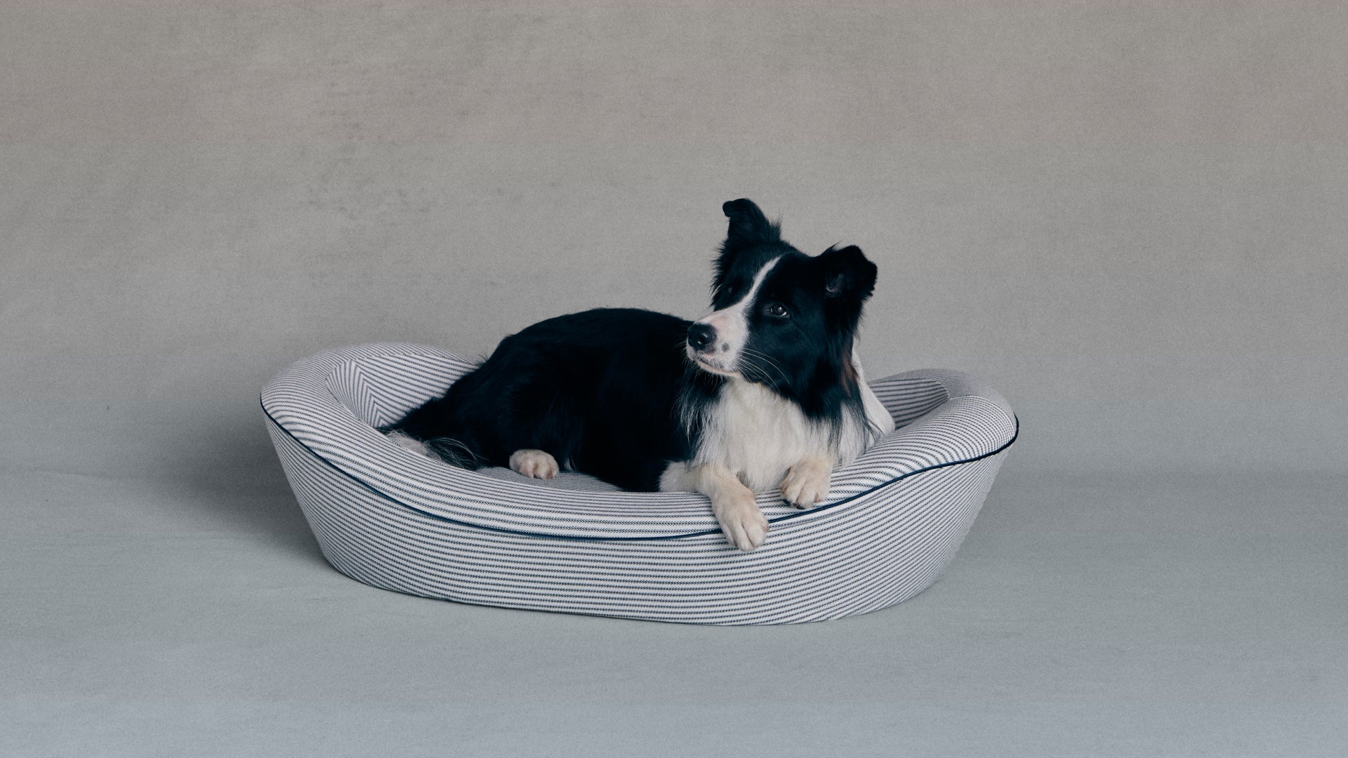 Timeless Dog Bed in Blue Blood Ticking