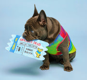 Grateful Dead® Cornell 77' Concert Ticket