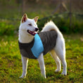 Load image into Gallery viewer, Big Buddy Waterproof Winter Dog Vest - Southlake Paws
