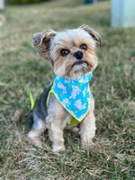 Blue Bunny Bandana