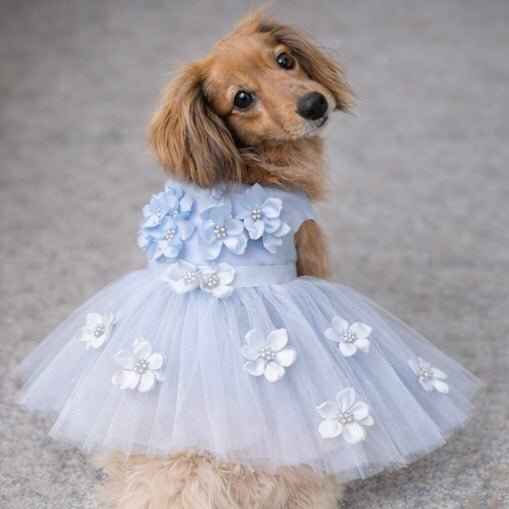 Blue Ceremony Dress