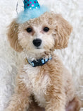Load image into Gallery viewer, Blue Gingham Small Breed Dog Collar
