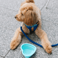 Load image into Gallery viewer, Aqua Heart Collapsible Bowl
