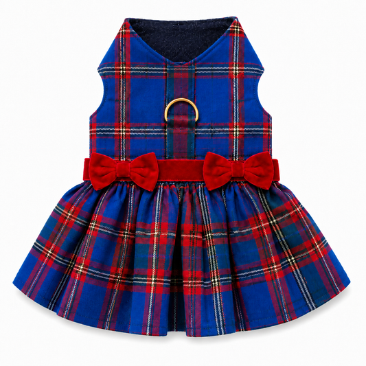 Red/Blue Plaid Dress