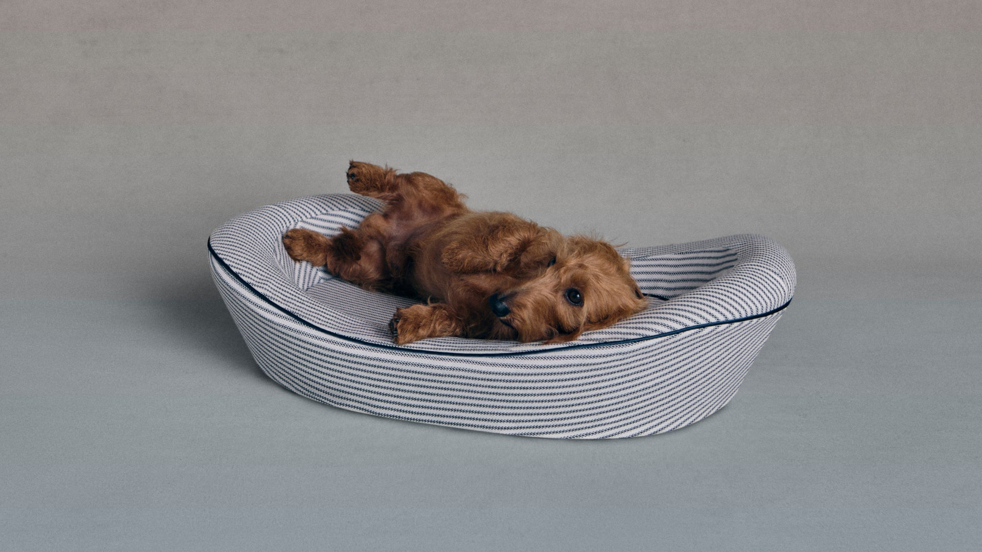 Timeless Dog Bed in Blue Blood Ticking