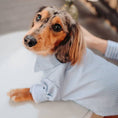 Load image into Gallery viewer, Stripe Long-Sleeve Button-Down Dog Dress Shirt - Southlake Paws
