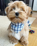 Load image into Gallery viewer, GINGHAM BANDANA - Southlake Paws

