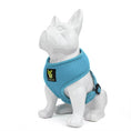 Load image into Gallery viewer, EcoBark Sky Blue Dog Harness - Over-the-Head Soft Mesh Dog Vest Halter for Small to Medium Dogs and Puppies
