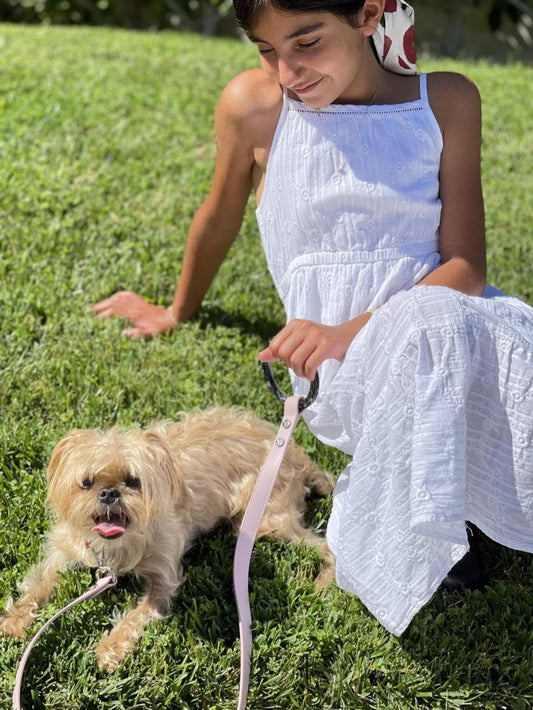 Susan Leash - Blush Pink - Southlake Paws