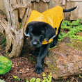 Load image into Gallery viewer, Nantucket Slicker

