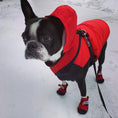 Load image into Gallery viewer, Saltsox 2025 / Ice Fire Red - Southlake Paws

