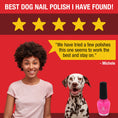 Load image into Gallery viewer, Dog Nail Polish - Polish Bottles with Brush
