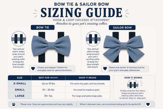 Chicago Flag Sailor Bow Tie