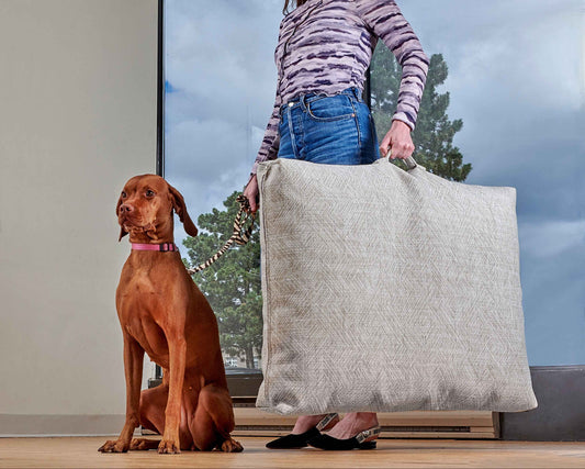 Bowsers The Avenue Orthopedic Dog Bed - Supportive Joint-Relief Comfort