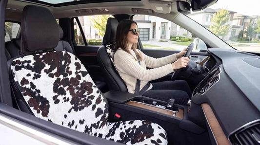 Bowsers Single Dog Car Seat Cover