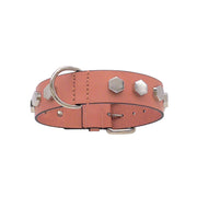 Box Dog Collar Pink