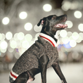 Load image into Gallery viewer, Boyfriend Dog Sweater
