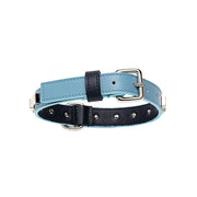 Breeze Bi-Color Dog Collar
