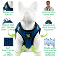 Load image into Gallery viewer, EcoBark Step In Dog Harness - XXXS to Small Breeds- Reflective Soft Mesh Harness for Teacup, Small Dogs and Puppies / Bright Blue Sport
