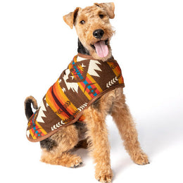 Brown Southwest Blanket Dog Coat