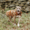Load image into Gallery viewer, Brown Southwest Blanket Dog Coat
