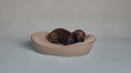 Load image into Gallery viewer, Timeless Dog Bed in Tawny Ledger

