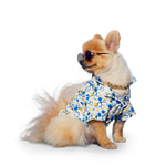 Bubble Shirt