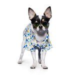 Bubble Shirt