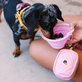 Load image into Gallery viewer, Bubblegum Heart Collapsible Bowl

