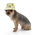 Bucket Hat Pineapple Hat