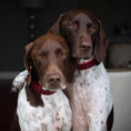 Load image into Gallery viewer, Buffalo Check Dog Collar
