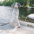 Load image into Gallery viewer, Buffalo Check Dog Collar
