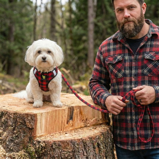 Man in plaid shirt with a dog on a leash in a forest setting