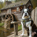 Load image into Gallery viewer, EcoBark Step In Dog Harness - XXXS to Small Breeds- Reflective Soft Mesh Harness for Teacup, Small Dogs and Puppies / Camouflage
