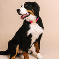 Load image into Gallery viewer, Valentina Dog Collar
