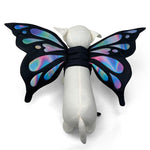 Butterfly Wing