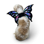 Butterfly Wing