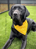 Load image into Gallery viewer, Buzzing Bumble Bee Dog Bandana

