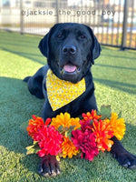 Buzzing Bumble Bee Dog Bandana