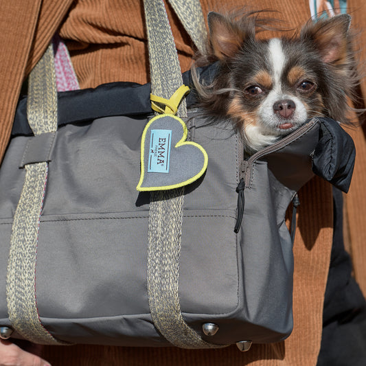 Small dog bag in grey nylon with yellow details
