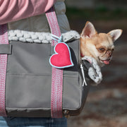 Small dog bag in grey nylon with pink details