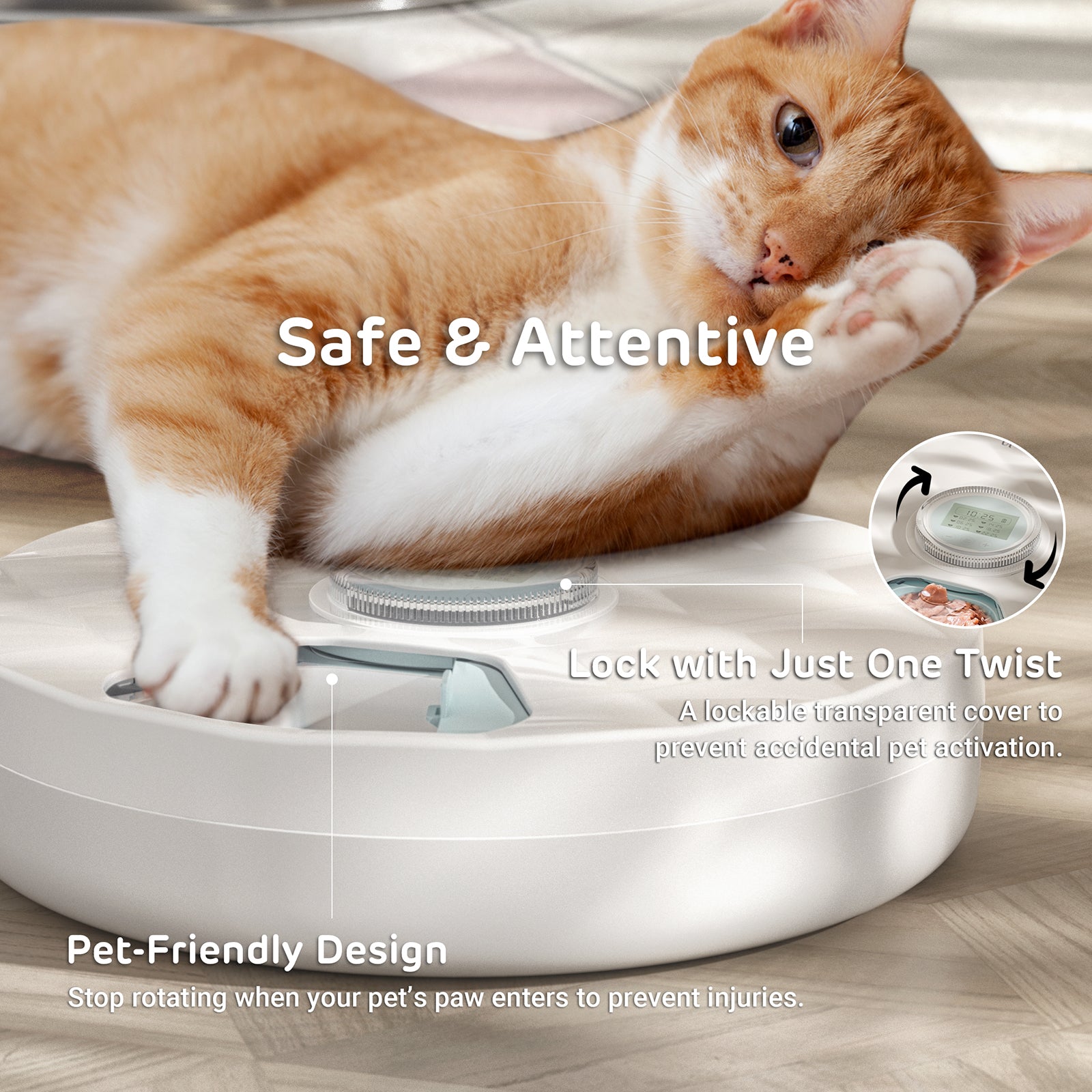 Brioche 6 Meal Cordless Automatic Pet Feeder with Two Ice Packs 