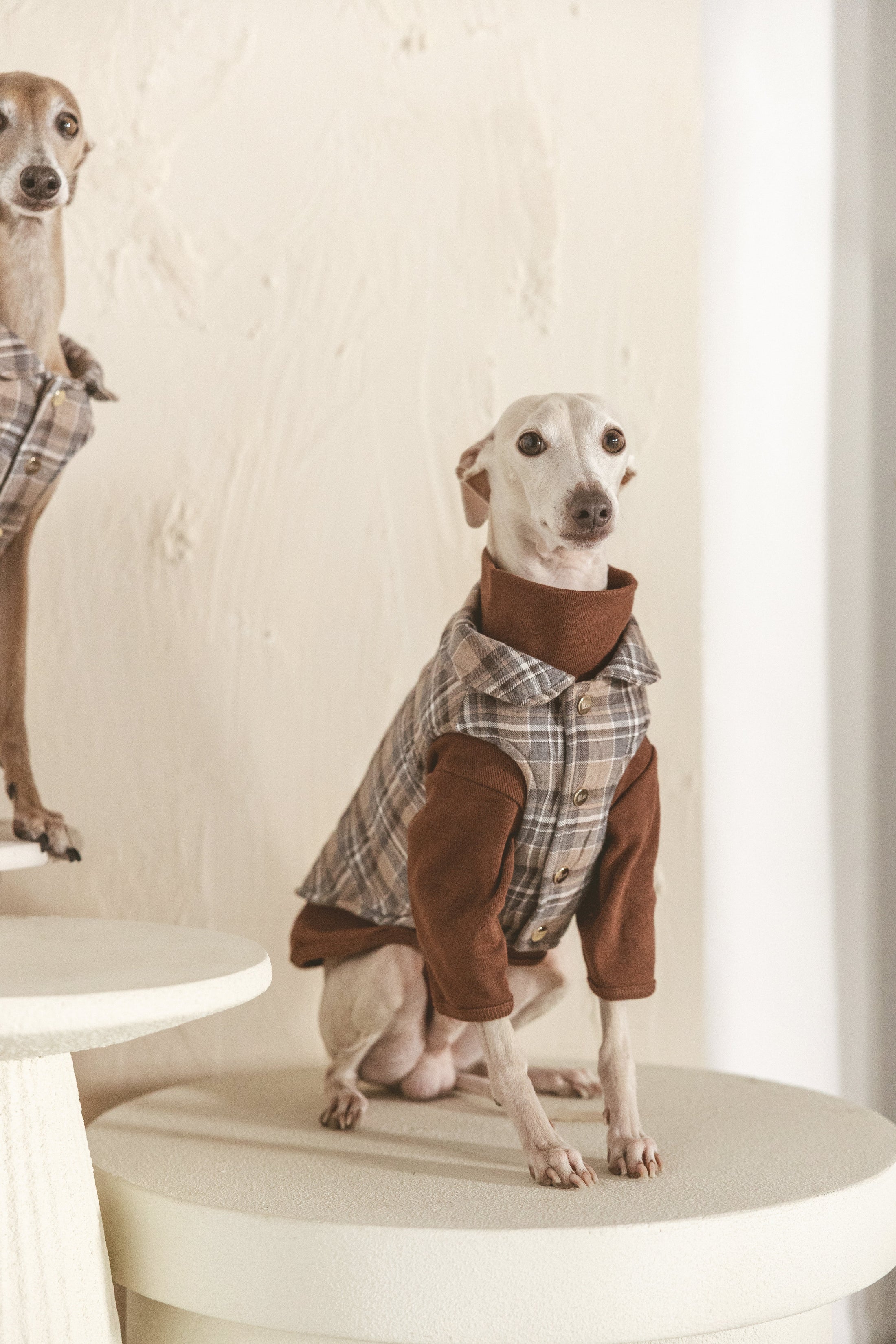 Roux Vest