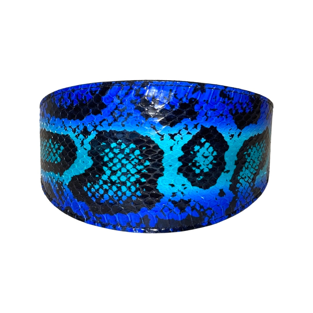 Electric/Turquoise Blue & Black 3 Wide Style Collar