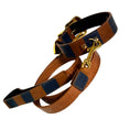 Load image into Gallery viewer, Riviera Swarovski Crystal Edition Collar And Leash Set
