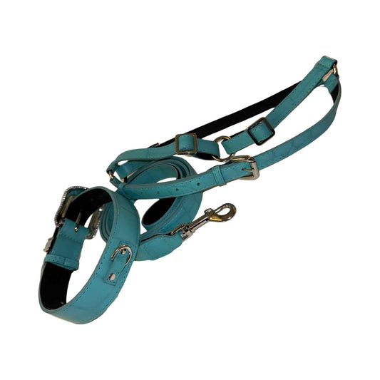The Tiffany Collection. Gorgeous Turquoise Blue Embossed Croc Italian Leather Collar, Leash & Harness Set, With Our Custom Swarovski Crystal Hardware
