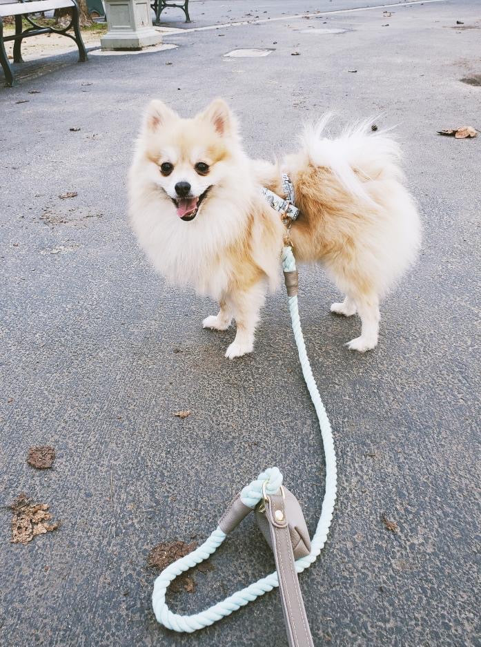 LEASH - DESERT MINT