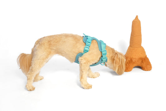 La Tour Eiffel Nose Work Dog Toy / Enrichment Toy - Southlake Paws