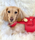 Load image into Gallery viewer, HARNESS - MELTING HEARTS
